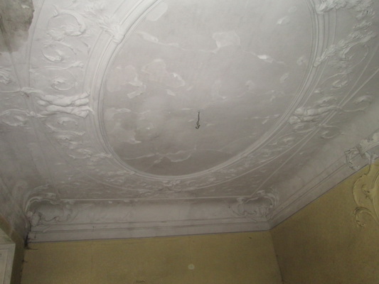 Zámek Olešná - štuková výzdoba stropu.